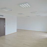 Lokal na wynajem